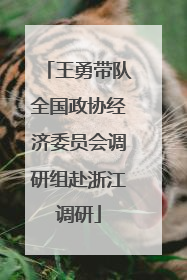 王勇带队全国政协经济委员会调研组赴浙江调研