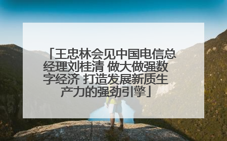 王忠林会见中国电信总经理刘桂清 做大做强数字经济 打造发展新质生产力的强劲引擎