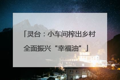 灵台：小车间榨出乡村全面振兴“幸福油”