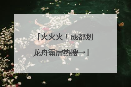 火火火！成都划龙舟霸屏热搜→