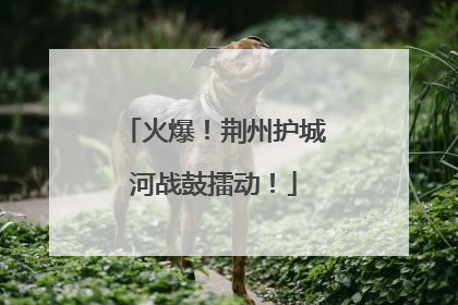 火爆！荆州护城河战鼓擂动！