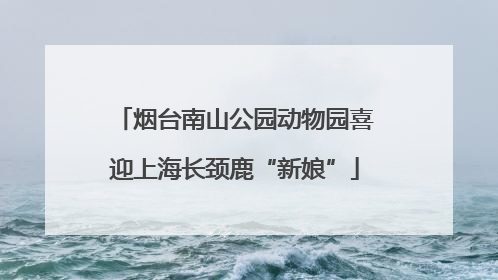 烟台南山公园动物园喜迎上海长颈鹿“新娘”