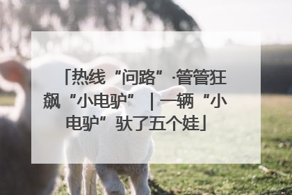 热线“问路”·管管狂飙“小电驴”｜一辆“小电驴”驮了五个娃