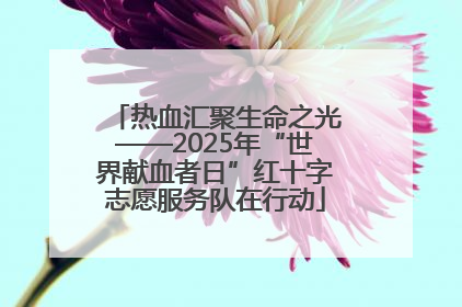 热血汇聚生命之光——2025年“世界献血者日”红十字志愿服务队在行动