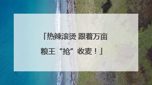 热辣滚烫 跟着万亩粮王“抢”收麦！