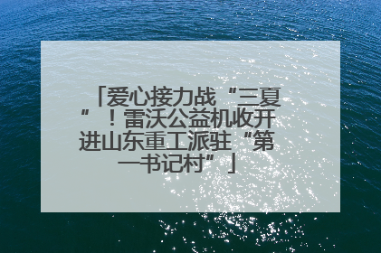 爱心接力战“三夏”！雷沃公益机收开进山东重工派驻“第一书记村”