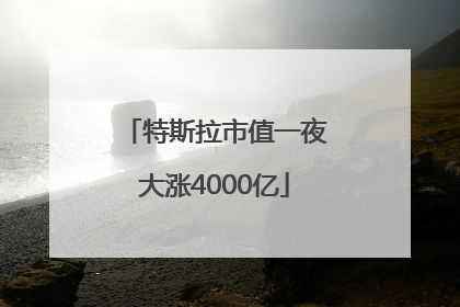 特斯拉市值一夜大涨4000亿