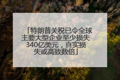 特朗普关税已令全球主要大型企业至少损失340亿美元，真实损失或高致数倍