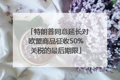 特朗普同意延长对欧盟商品征收50%关税的最后期限