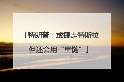 特朗普：或挪走特斯拉 但还会用“星链”