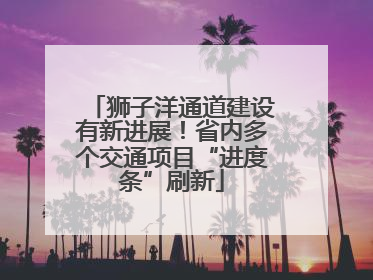 狮子洋通道建设有新进展！省内多个交通项目“进度条”刷新