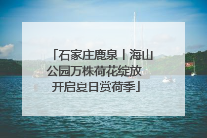 石家庄鹿泉丨海山公园万株荷花绽放 开启夏日赏荷季