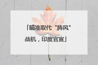 瞄准取代“阵风”战机，印度官宣