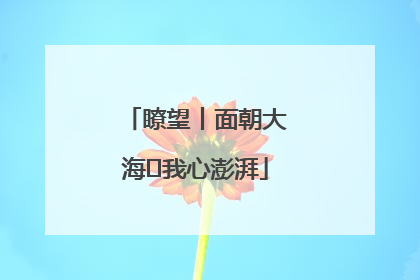 瞭望丨面朝大海 我心澎湃