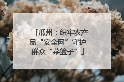 瓜州：织牢农产品“安全网”守护群众“菜篮子”