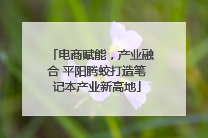 电商赋能，产业融合 平阳腾蛟打造笔记本产业新高地