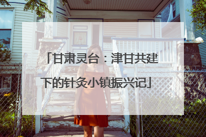 甘肃灵台：津甘共建下的针灸小镇振兴记