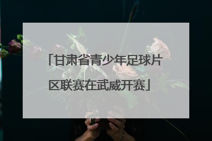 甘肃省青少年足球片区联赛在武威开赛