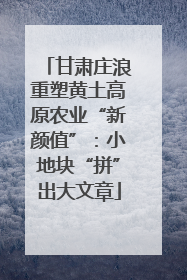 甘肃庄浪重塑黄土高原农业“新颜值”：小地块“拼”出大文章
