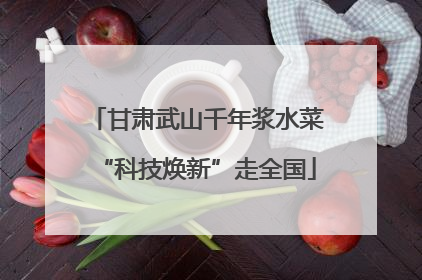 甘肃武山千年浆水菜“科技焕新”走全国