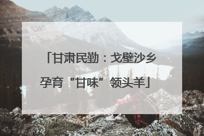 甘肃民勤：戈壁沙乡孕育“甘味”领头羊