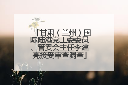 甘肃（兰州）国际陆港党工委委员、管委会主任李建亮接受审查调查
