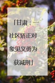 甘肃：一社区矫正对象见义勇为获减刑