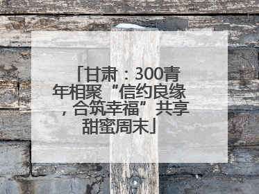 甘肃：300青年相聚“信约良缘，合筑幸福”共享甜蜜周末