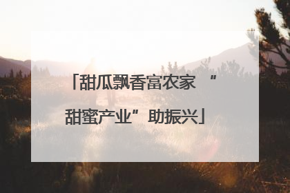 甜瓜飘香富农家 “甜蜜产业”助振兴
