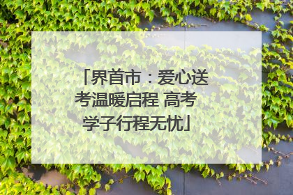 界首市：爱心送考温暖启程 高考学子行程无忧