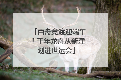 百舟竞渡迎端午！千年龙舟从新津划进世运会
