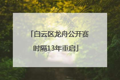 白云区龙舟公开赛时隔13年重启