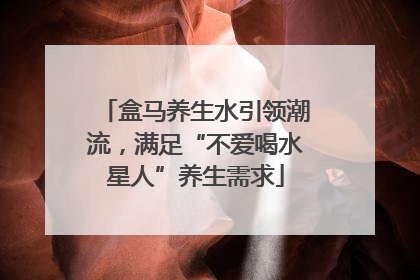 盒马养生水引领潮流，满足“不爱喝水星人”养生需求