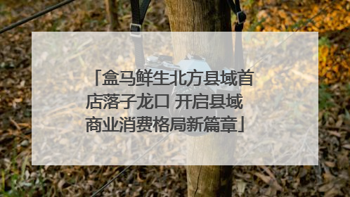 盒马鲜生北方县域首店落子龙口 开启县域商业消费格局新篇章