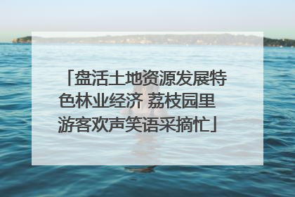 盘活土地资源发展特色林业经济 荔枝园里游客欢声笑语采摘忙