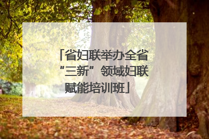 省妇联举办全省“三新”领域妇联赋能培训班