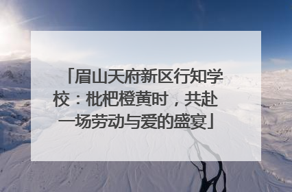 眉山天府新区行知学校：枇杷橙黄时，共赴一场劳动与爱的盛宴