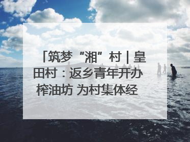 筑梦“湘”村｜皇田村：返乡青年开办榨油坊 为村集体经济“加油”