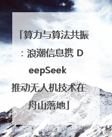 算力与算法共振：浪潮信息携 DeepSeek 推动无人机技术在舟山落地