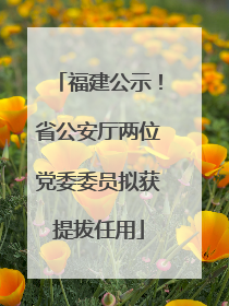 福建公示！省公安厅两位党委委员拟获提拔任用