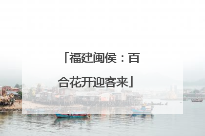 福建闽侯：百合花开迎客来