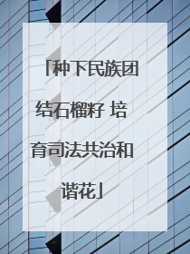 种下民族团结石榴籽 培育司法共治和谐花
