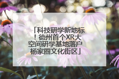 科技研学新地标！德州首个XR大空间研学基地落户杨家圈文化街区