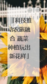 科技推动农旅融合 蔬菜种植玩出新花样