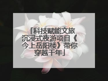 科技赋能文旅 沉浸式夜游项目《今上岳阳楼》带你穿越千年