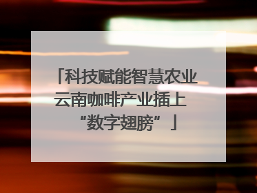 科技赋能智慧农业 云南咖啡产业插上“数字翅膀”