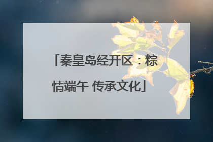 秦皇岛经开区：粽情端午 传承文化
