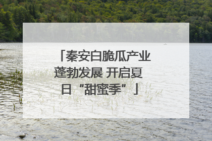 秦安白脆瓜产业蓬勃发展 开启夏日“甜蜜季”