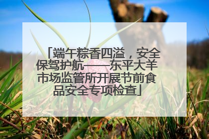 端午粽香四溢，安全保驾护航——东平大羊市场监管所开展节前食品安全专项检查