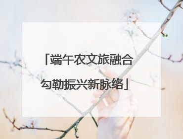 端午农文旅融合 勾勒振兴新脉络